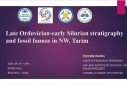 late ordovician-early silurian stratigraphy and fossil daunas in NW.Tarim